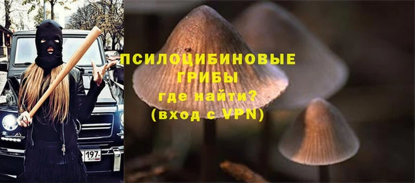 винт Алзамай