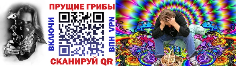 Галлюциногенные грибы GOLDEN TEACHER  omg маркетплейс  Слободской  магазин продажи  